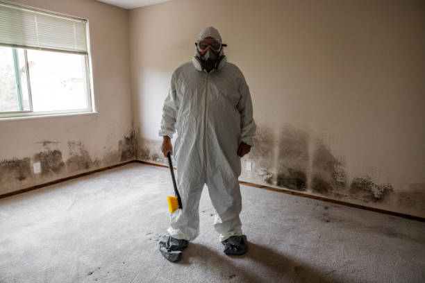 Best Certified Mold Removal  in Miamisburg, OH